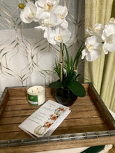 Cargar imagen en el visor de la galería, Diario devocional de 21 días de gratitud