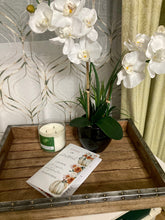 Cargar imagen en el visor de la galería, D.D. 21 Days to Gratitude Devotional Journal - Digital Download